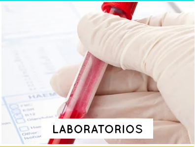 dr-mascota-veterinaria-laboratoriook