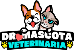 dr-mascota-veterinaria-logo